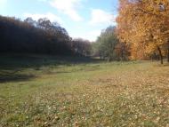 Бабенки з panoramio.com