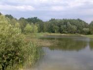 Морозівка - Останні фото