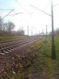 Старовірівка з panoramio.com