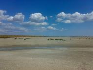 Сиваш з panoramio.com
