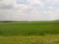 Журавлівка з panoramio.com