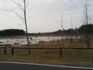 Кошари з panoramio.com