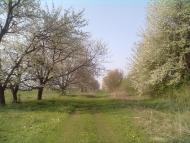 Пильки з panoramio.com