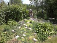 Ямпіль з panoramio.com