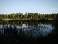 Жовтневе з panoramio.com