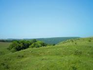 Нефедівці з panoramio.com