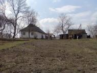 Криве - Останні фото