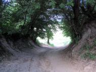 Шубків з panoramio.com