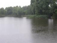 Гмирянка з panoramio.com