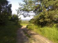 Козаки з panoramio.com