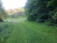 Журавлівка з panoramio.com