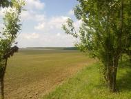 Журавлівка з panoramio.com