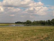 Дубовий Гай з panoramio.com