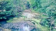 Каленики з panoramio.com