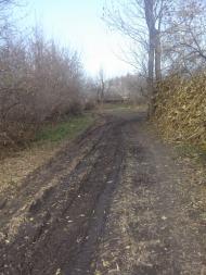 Сальниця з panoramio.com