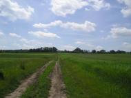Яхнівці з panoramio.com