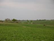 Заїченці з panoramio.com