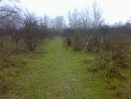 Оршівці - Останні фото