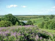 Степний Яр з panoramio.com