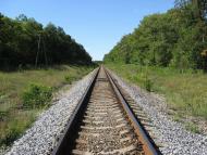 Одноробовка - Последние фото