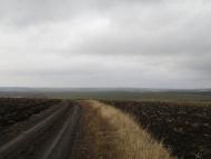 Студена з panoramio.com