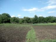 Степний Яр з panoramio.com