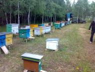 Гмирянка з panoramio.com