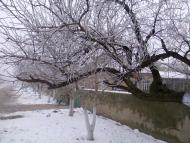 Суворове з panoramio.com