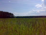 Рови з panoramio.com