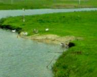 Мостове - Останні фото