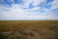 Іллінка з panoramio.com