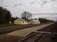 Ков'яги з panoramio.com