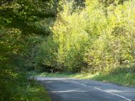 Вучкове з panoramio.com