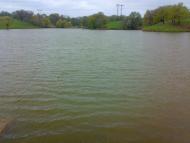 Золотарівка з panoramio.com