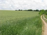 Ладижинські Хутори з panoramio.com