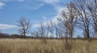 Зугрес з panoramio.com (ч.2) - Зугрэс