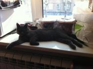 Ясинувата з panoramio.com