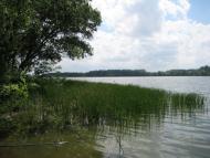 Капітанівка з panoramio.com