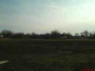 Боровиця - Останні фото