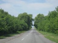 Дубинки - Останні фото