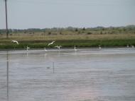 Дубовий Гай з panoramio.com