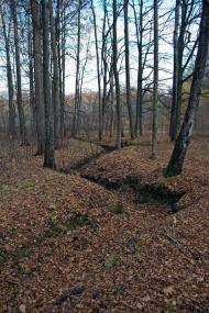 Пултівці з panoramio.com