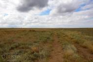 Іллінка з panoramio.com