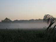 Чепелі - Останні фото