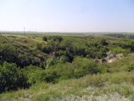 Плещіївка з panoramio.com