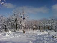 Гришки з panoramio.com