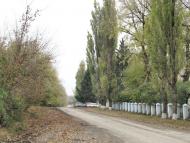 Панівці з panoramio.com