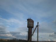 Камбурліївка з panoramio.com