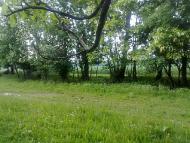 Журавлівка з panoramio.com