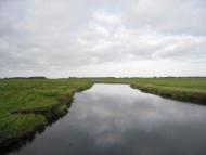 Щитинь - Останні фото